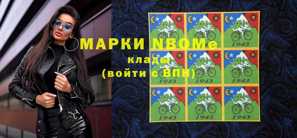 молекула духа Богородицк