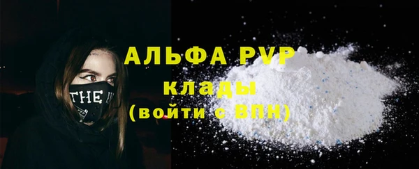 молекула духа Богородицк