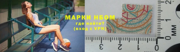 молекула духа Богородицк