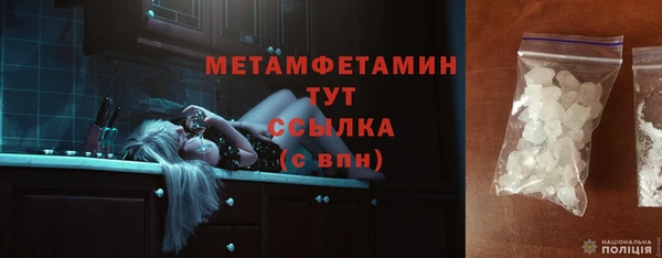 гидра Богородск