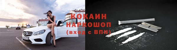 молекула духа Богородицк