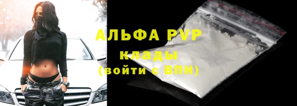гидра Богородск