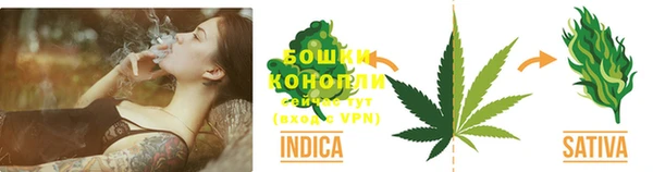 молекула духа Богородицк