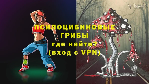 молекула духа Богородицк