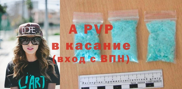 молекула духа Богородицк