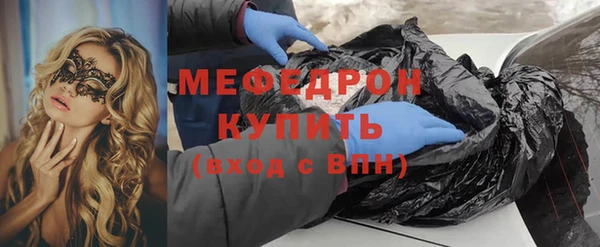 молекула духа Богородицк