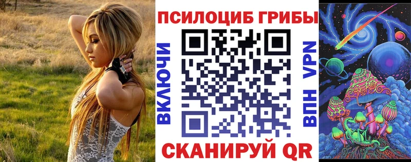 Псилоцибиновые грибы Psilocybe  Горно-Алтайск 